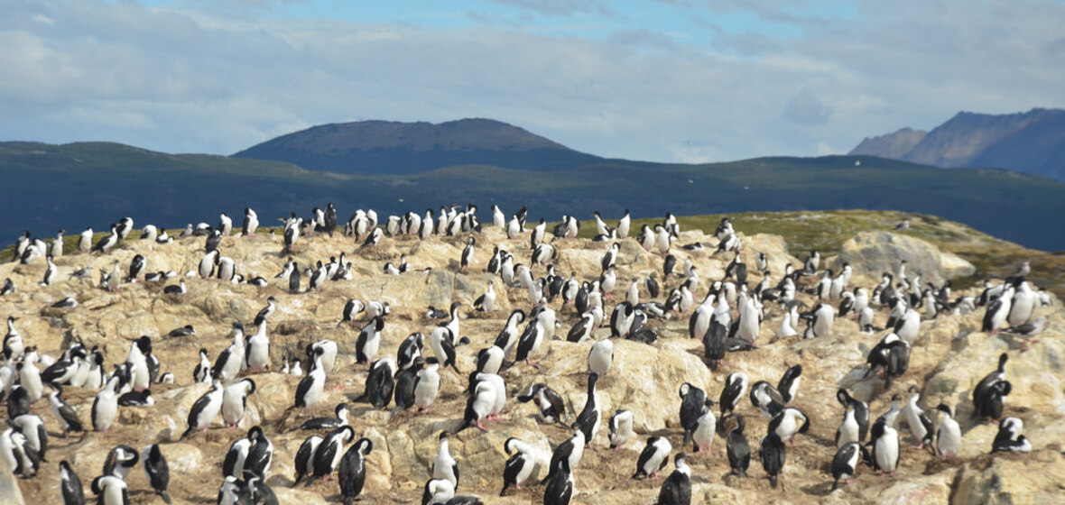 Photo of Ushuaia