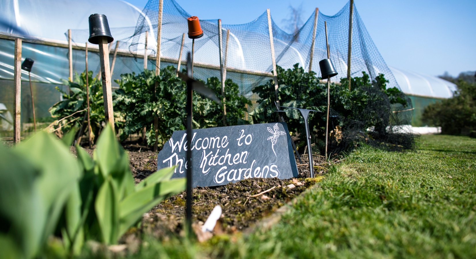 Kitchen gardens