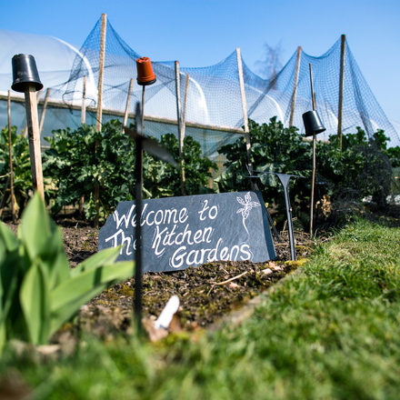 Kitchen gardens