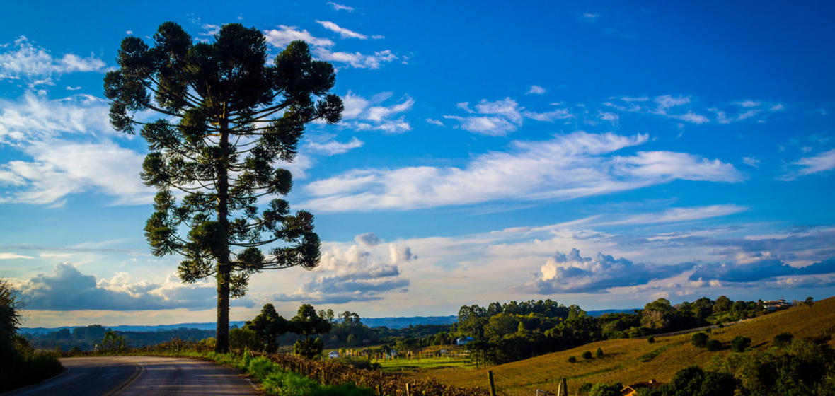 Photo of Rio Grande do Sul