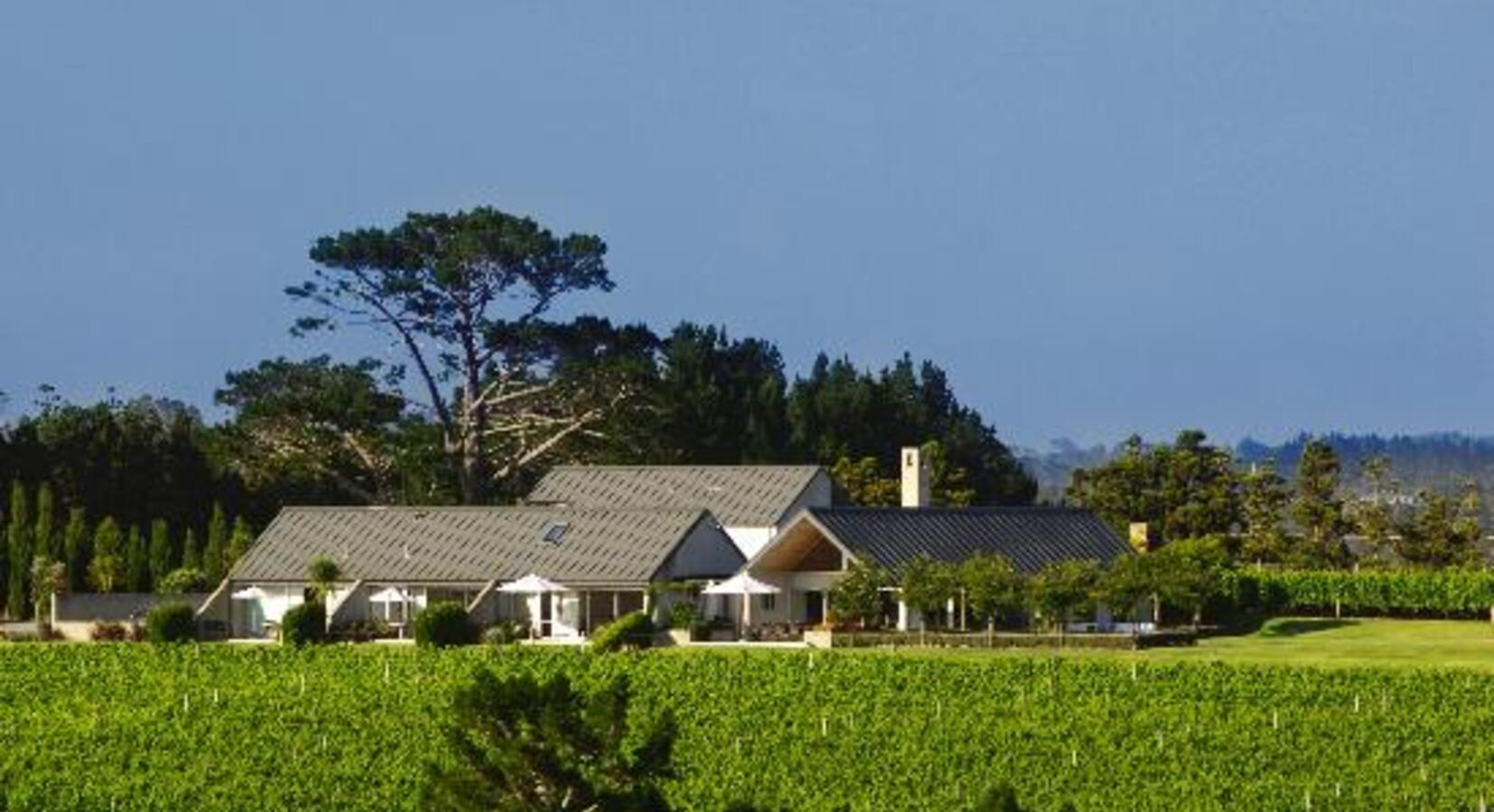 Photo of Takatu Lodge & Vineyard