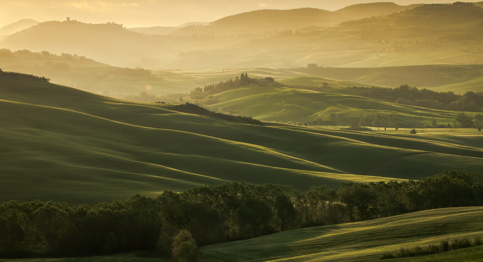 Tuscan Views