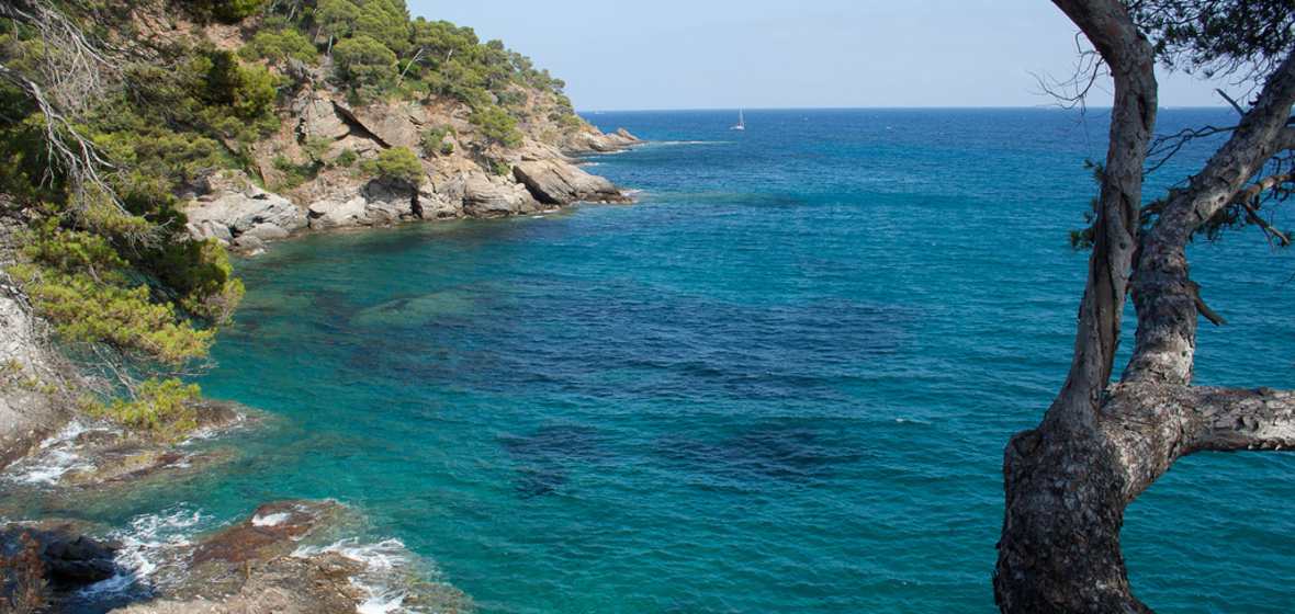 Photo of Rayol-Canadel-sur-Mer