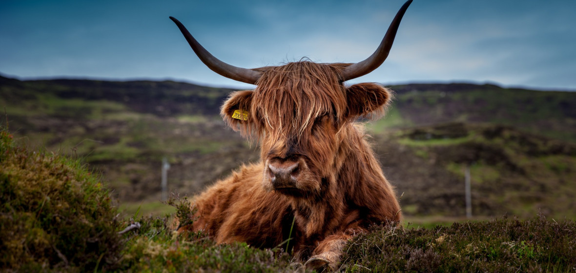 Foto von Schottland