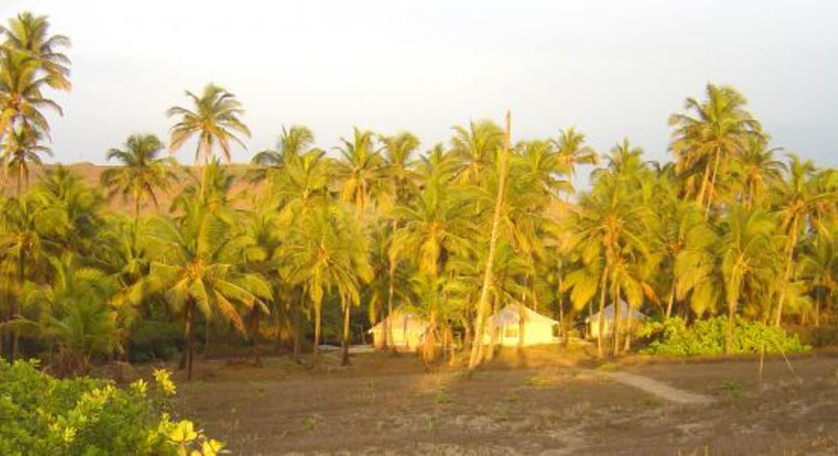 View from the beach 