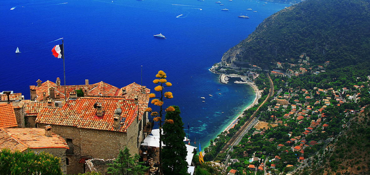 Photo of Eze  