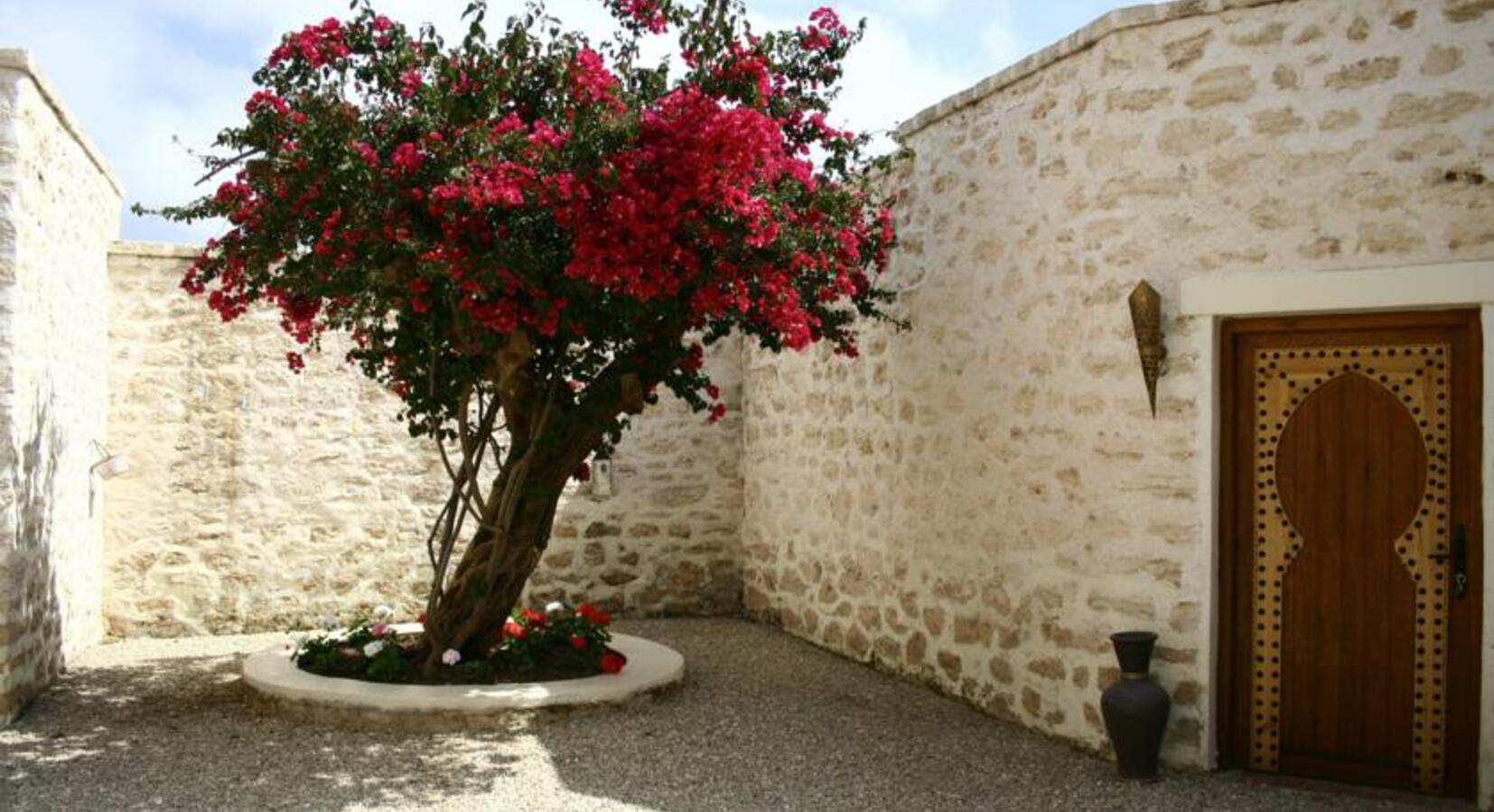 Flowers and plants adorn much of the riad, giving it a fantastic array of colours and aromas