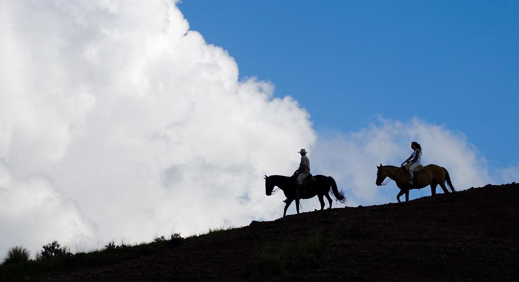 Horseriding excursion