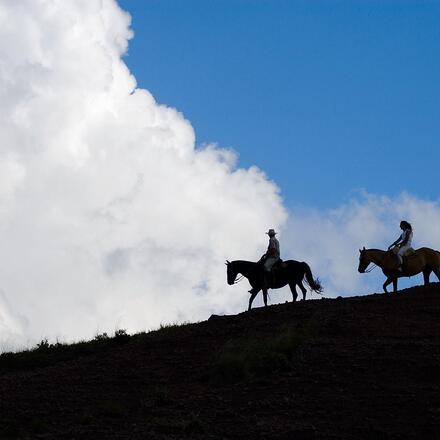 Horseriding excursion