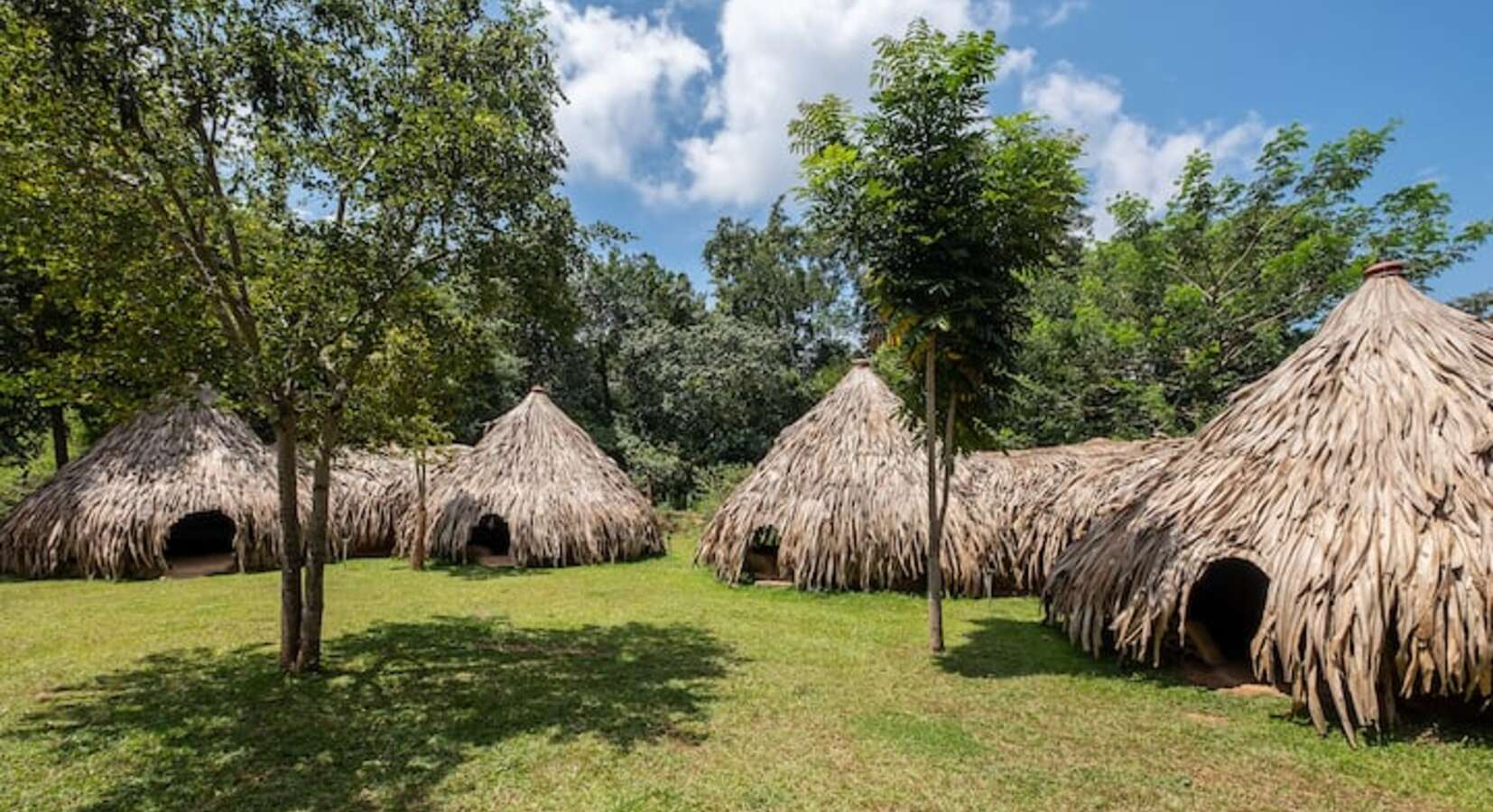 Thatched Huts