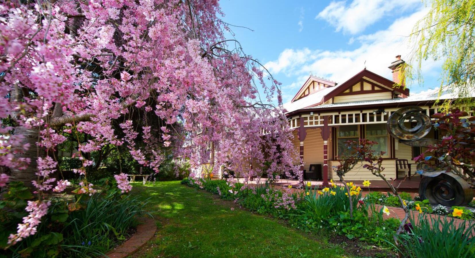 Garden detail