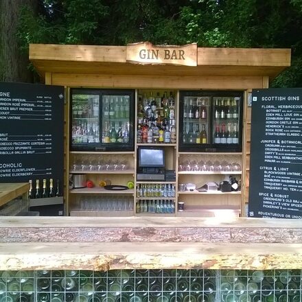 Summer Gin & Fizz Bar