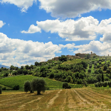 20 Best Hotels in Rural Tuscany