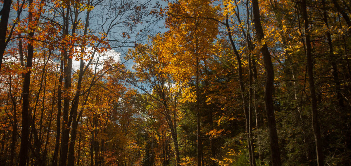 Photo of Woodstock, New York State