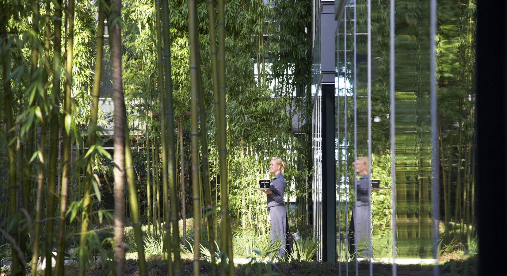 Hotel garden 