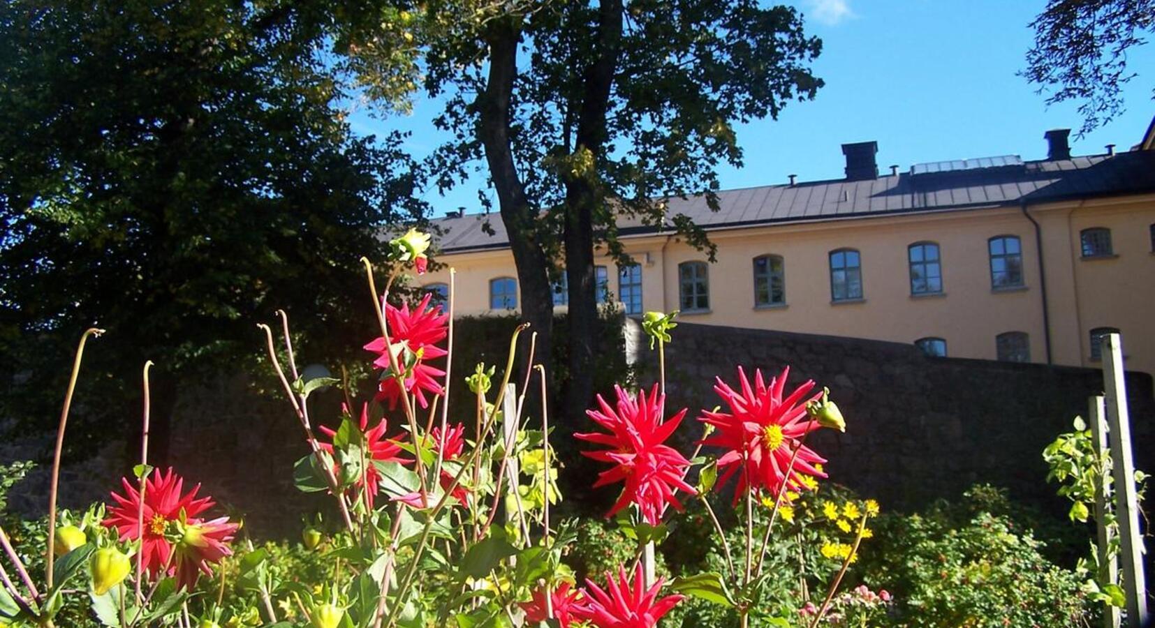 Garden view