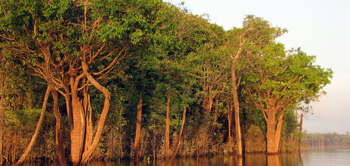 Photo de Amazonie