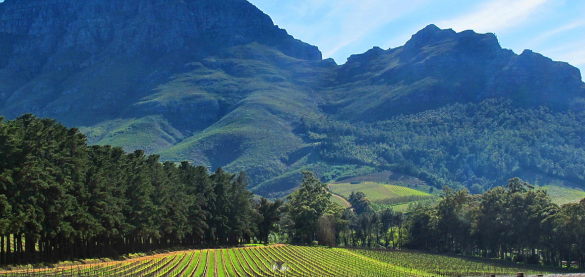 Photo of Stellenbosch