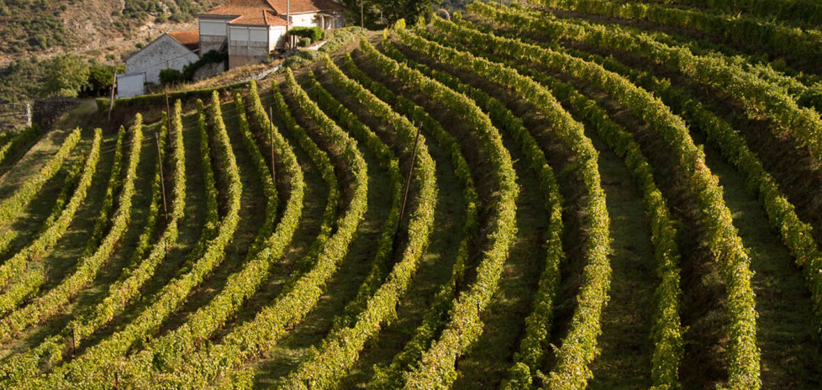 Photo of Northern Portugal