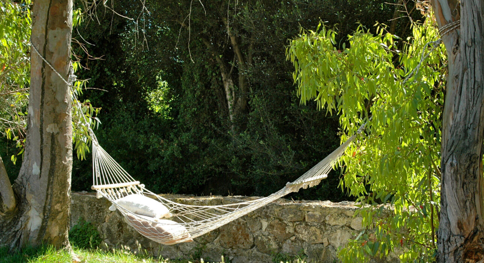 Hotel garden