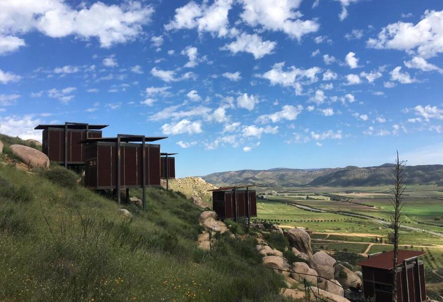 Encuentro Guadalupe