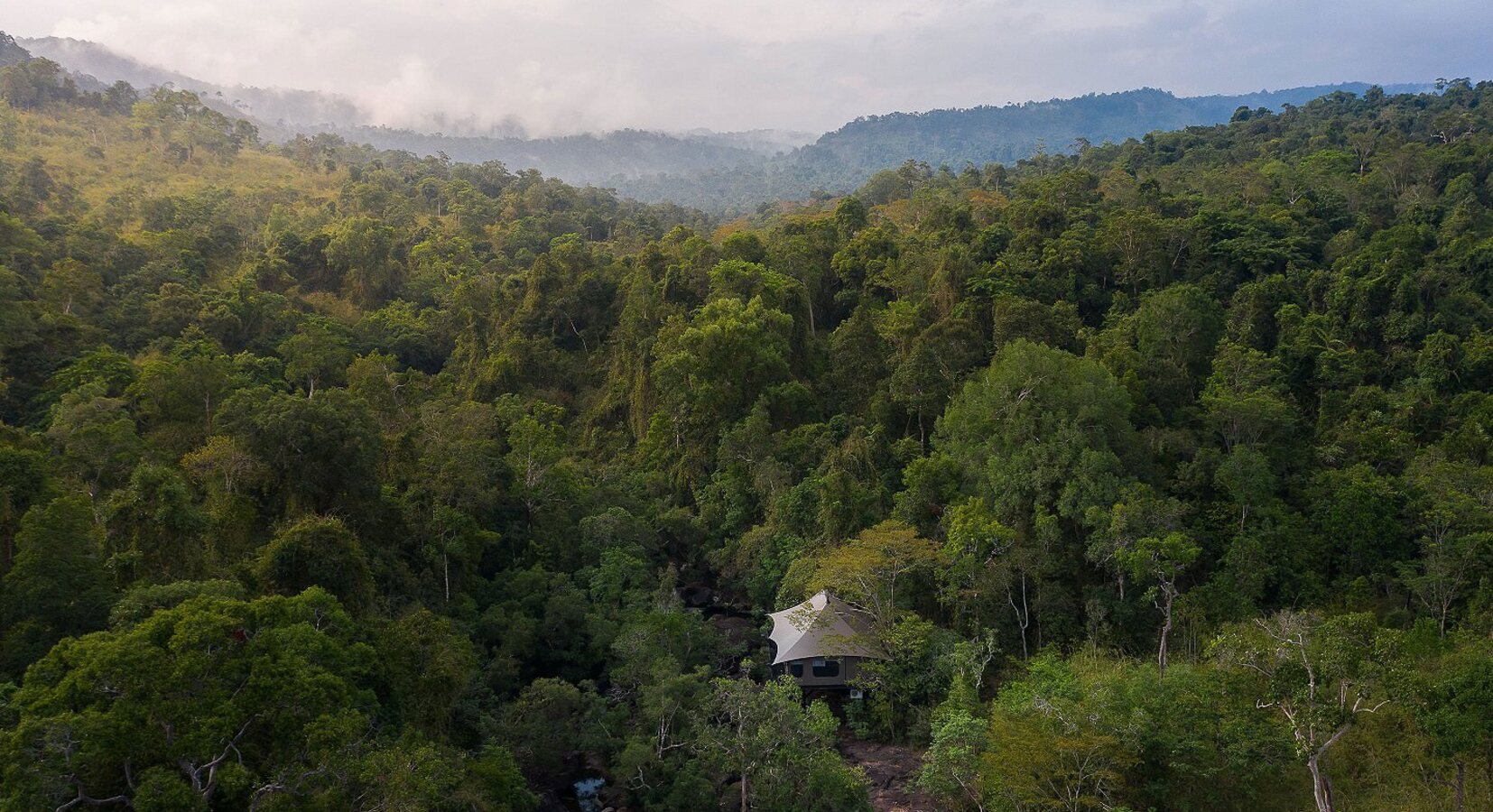 Gibbons Tent - Aerial Jungle View