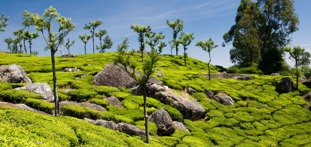 Foto von Coonoor