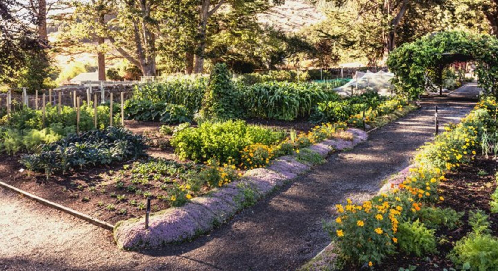 Vegetable garden