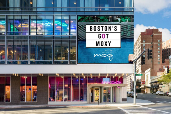 The Best Pet Friendly Boston Hotels | The Hotel Guru
