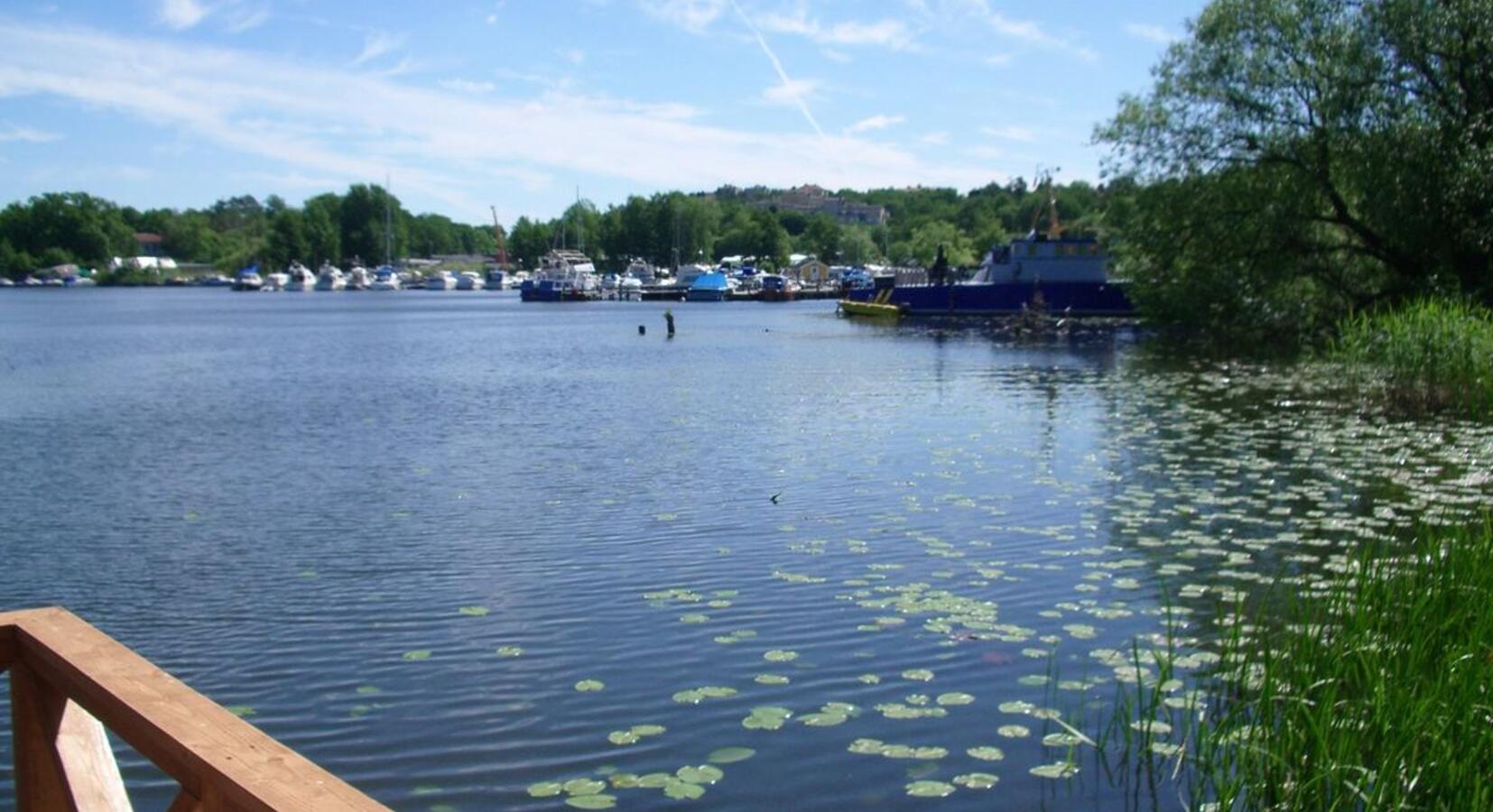 Lake views