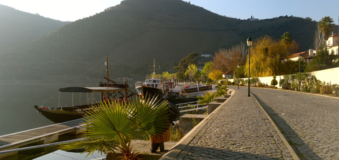 Photo of Pinhão