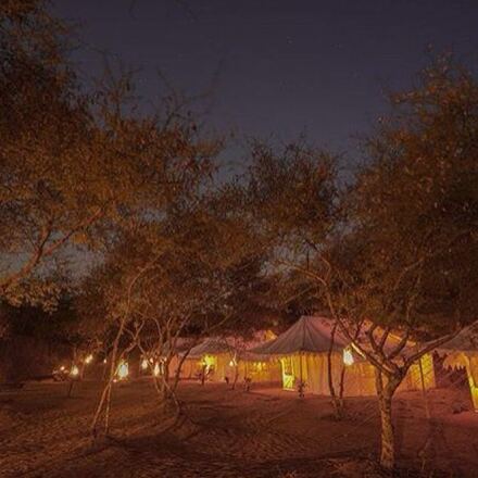 Camp by night