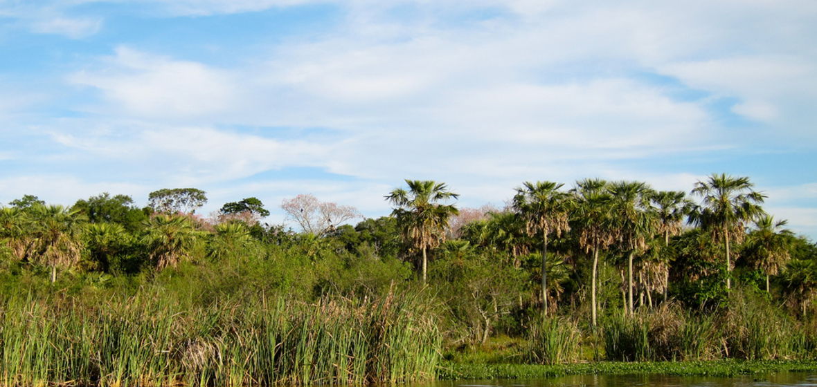 Photo of Corrientes Province