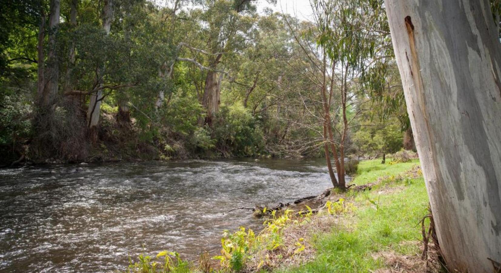 Yarra River