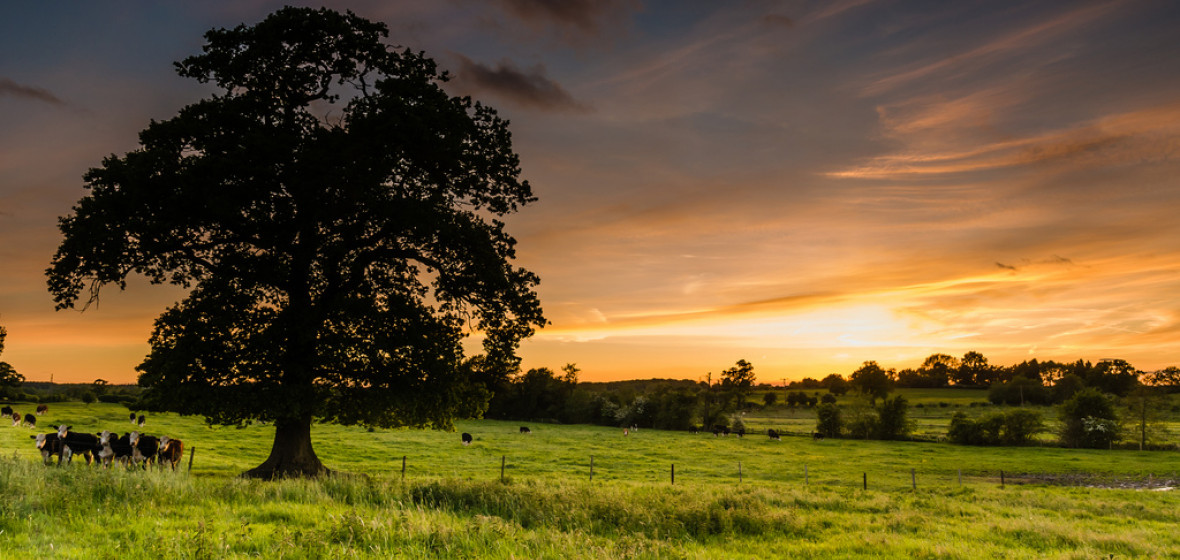 Photo of Warwickshire