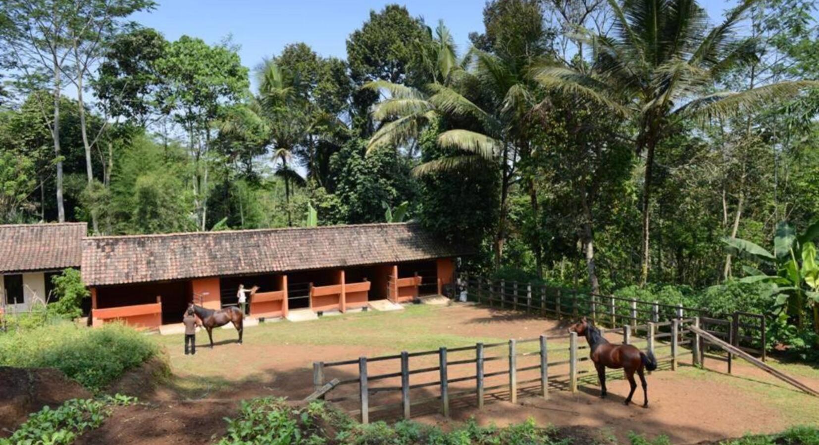 Stables for Riding