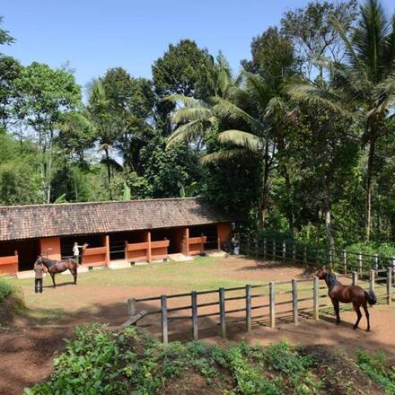 Stables for Riding