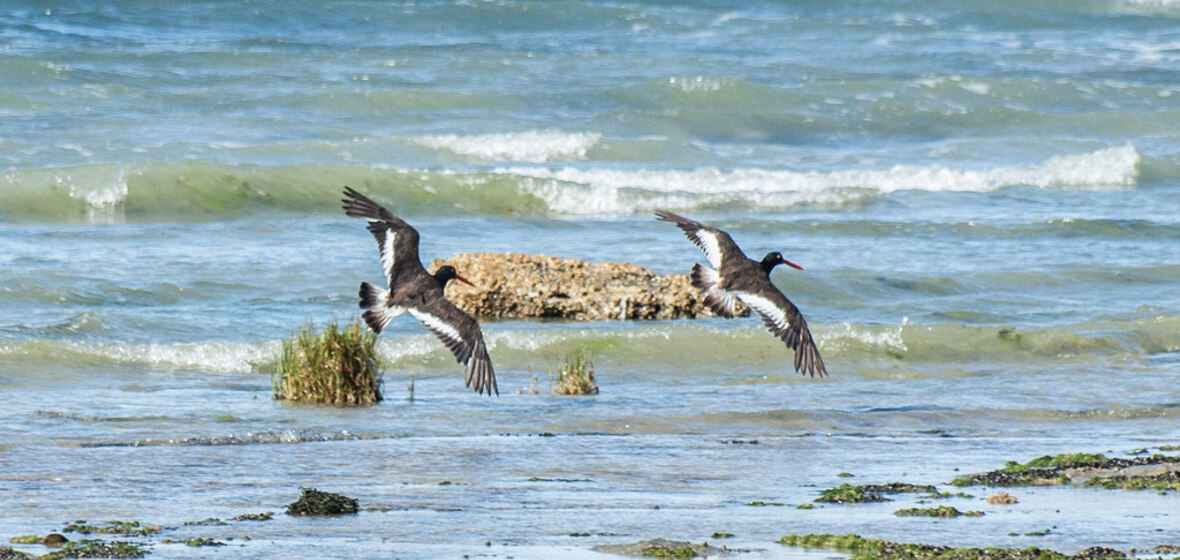 Foto von Puerto Madryn