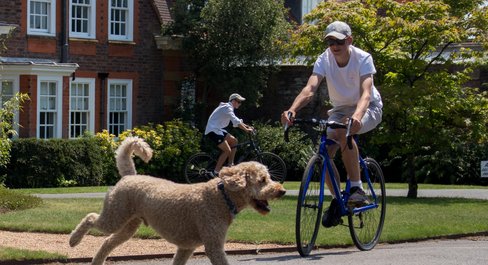 Dogs are welcome at Barnett Hill