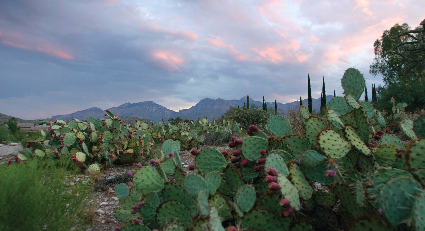 View of mountains