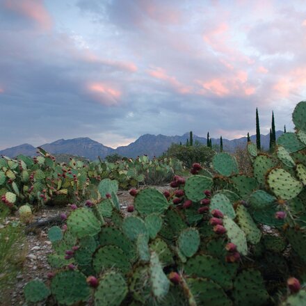 View of mountains