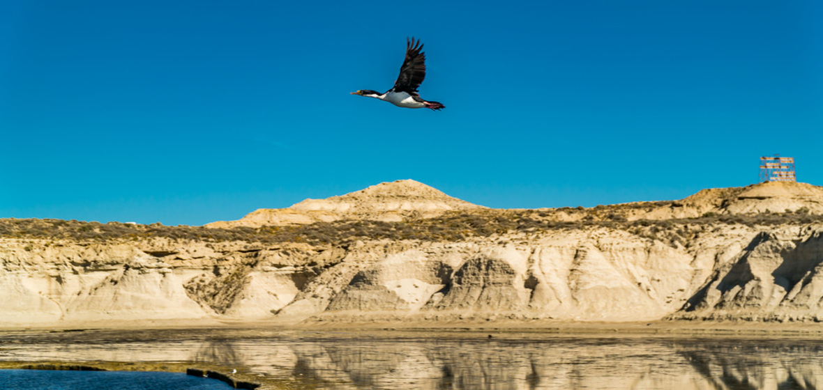 Foto von Puerto Madryn