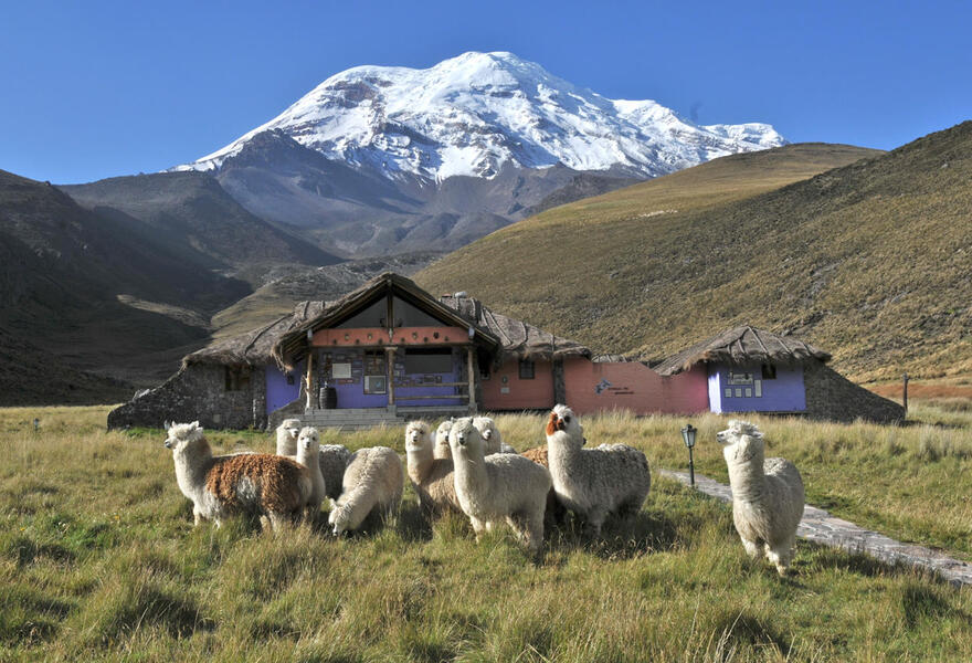 Chimborazo Lodge