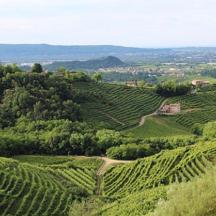 The Ultimate Guide to the Best Wine Hotels in Italy