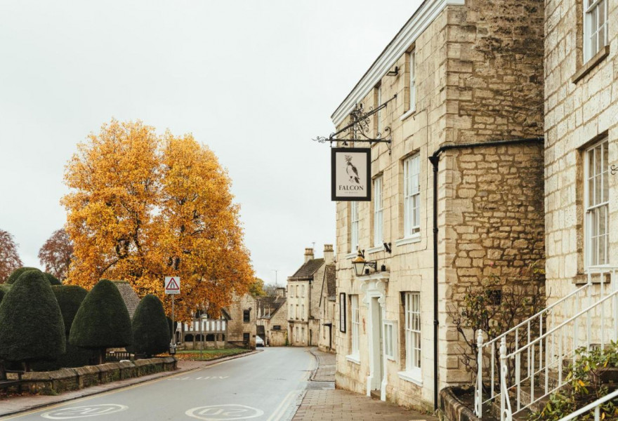 The Falcon Painswick