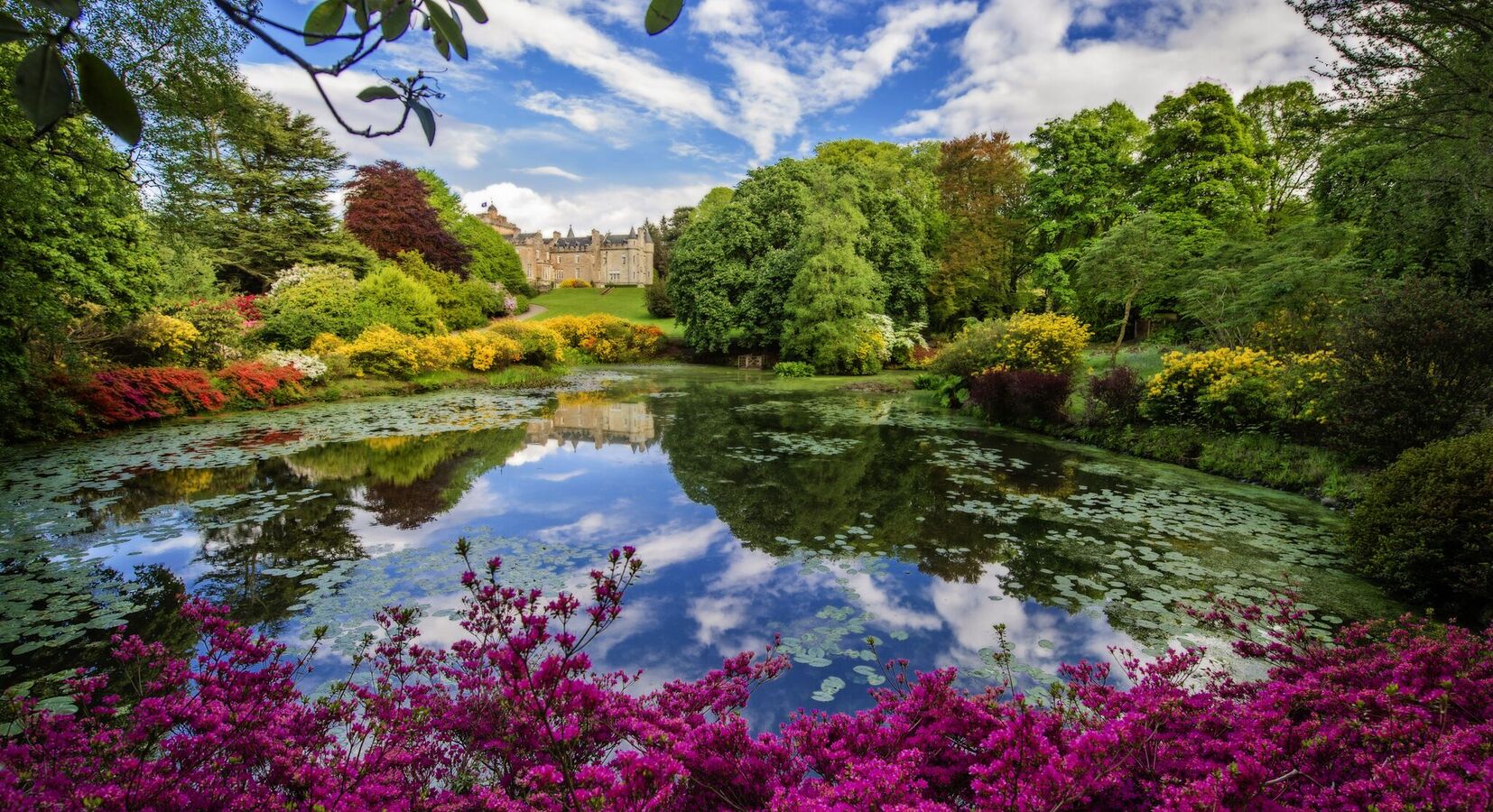 Glenapp Castle - Azalea Pond