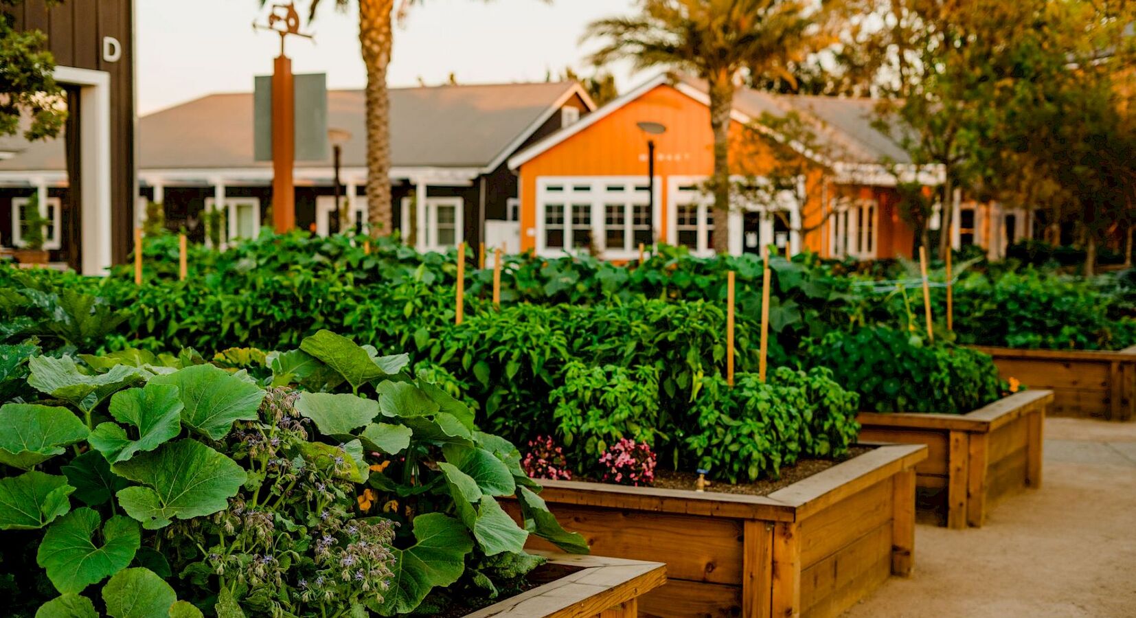 Kitchen Garden