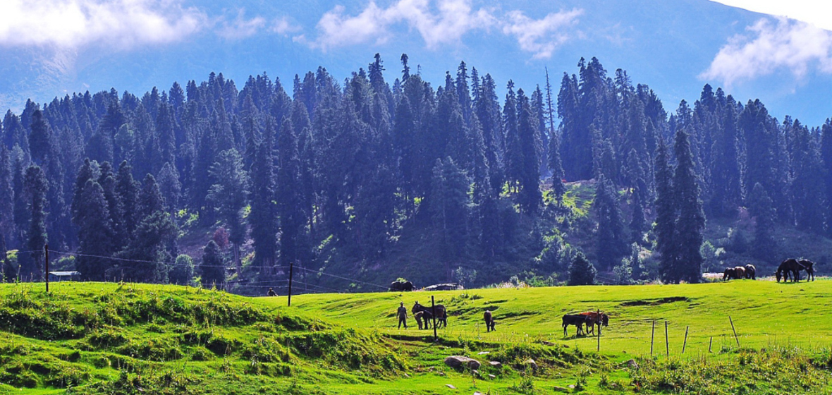 Photo de Gulmarg