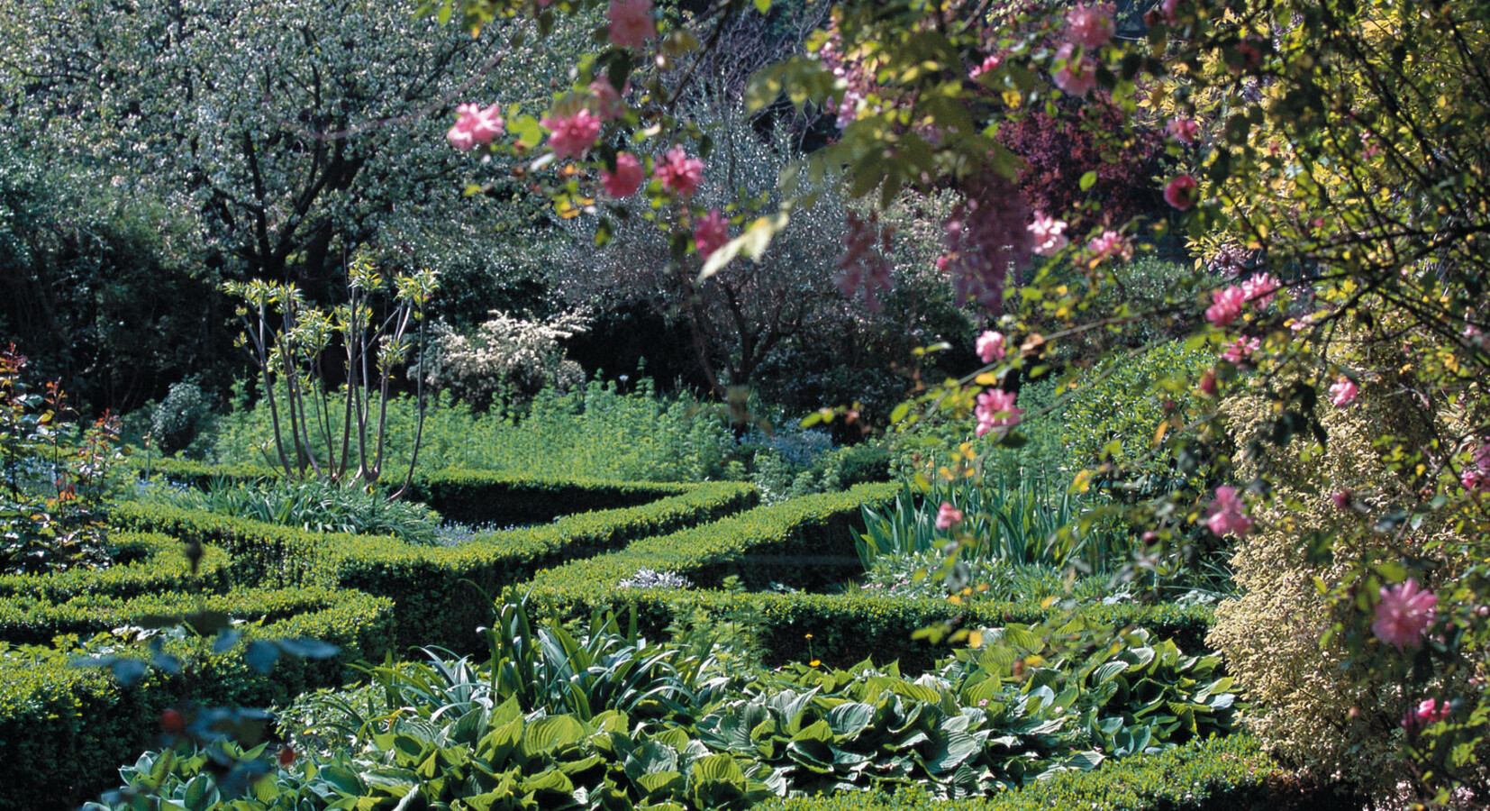 A View of the Garden