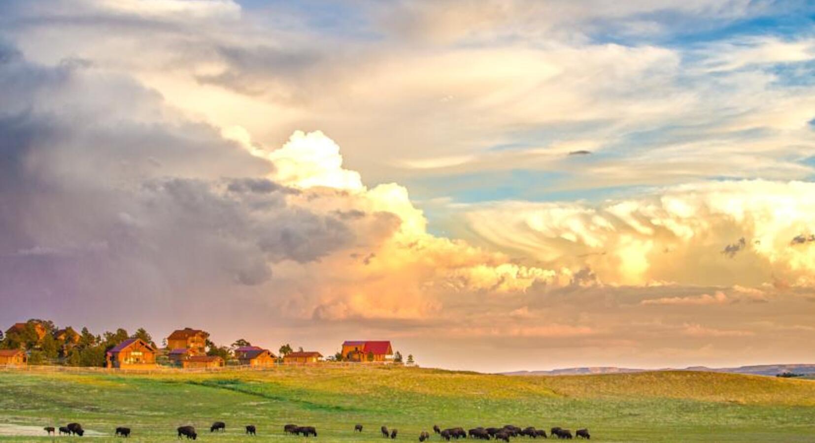 Photo of Zion Mountain Ranch